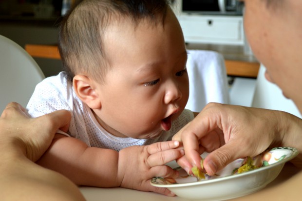 hungry baby eating